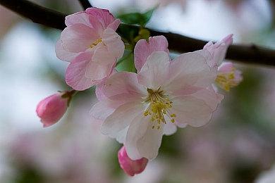 《战锤40K：星际战士2》IGN 8分 残酷战斗太爽快